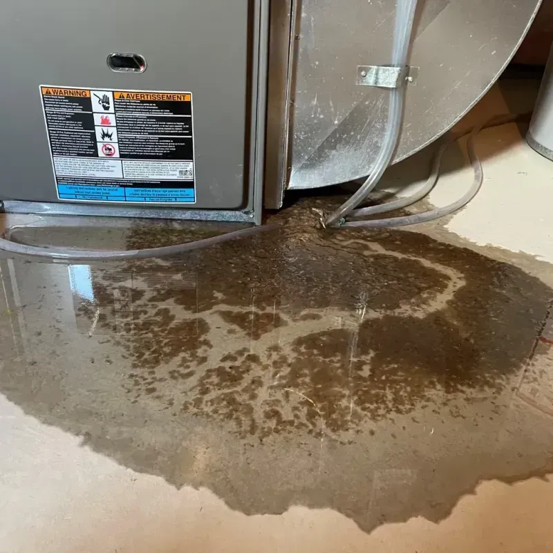 Appliance Leak Cleanup in Pennsville, NJ